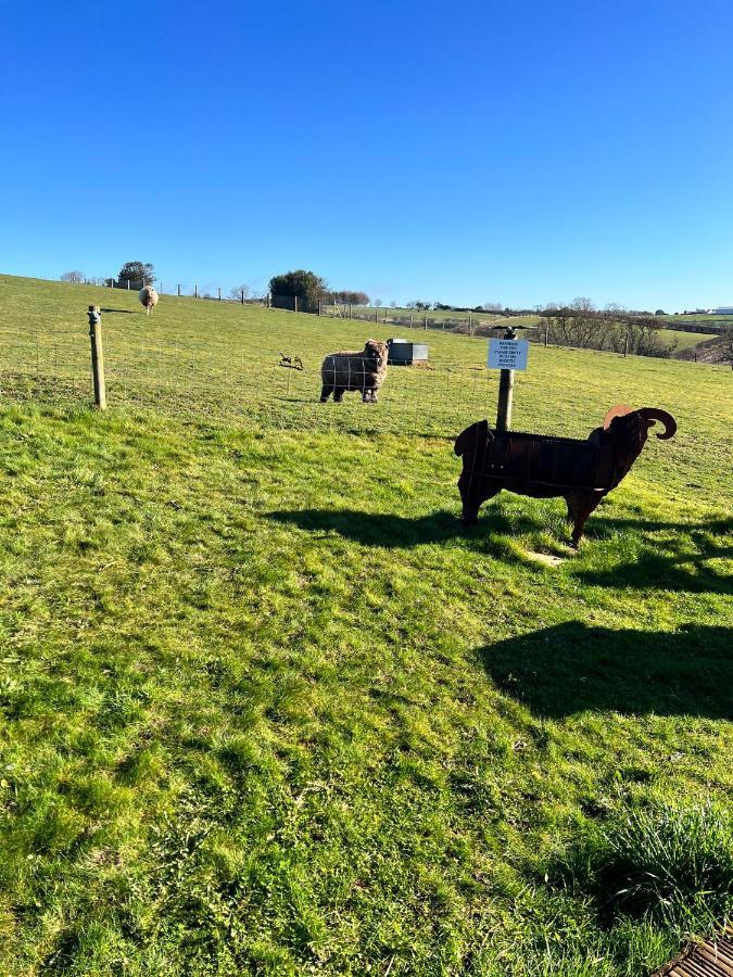 King Richard'S Luxury Lodge - Sleeps Up To 8 ,Dog Friendly ,Near Sherwood Forest At Fairview Farm In Nottingham Set In 88 Acres And Great For Groups,Family Gatherings,Corporate Events Luaran gambar